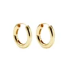 Hinge Hoops in Gold